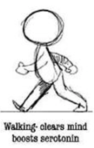 This image has an empty alt attribute; its file name is Walking.png
